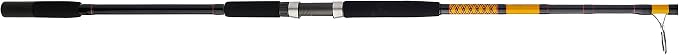 Ugly Stik Bigwater Spinning Fishing Rod