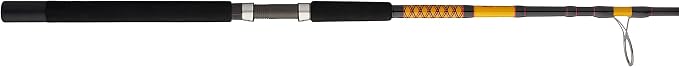 Ugly Stik Bigwater Spinning Fishing Rod