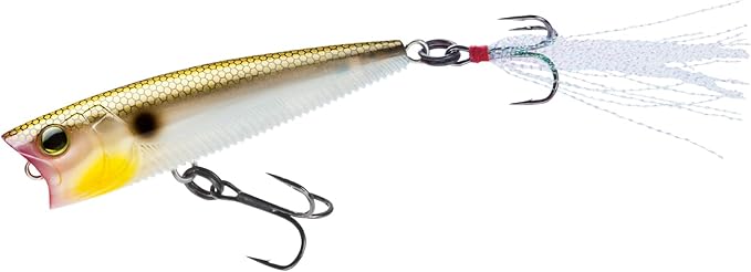 Yo-Zuri 3DB Popper, Floating, 3 Inch, 75mm, Gizzard Shad