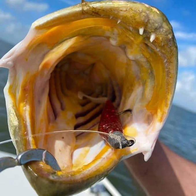 A.M. Fishing Curly Tail Jerkshad 4 Inch Soft Baits Garlic Infused,– 8 Pack – Saltwater & Freshwater Fishing Lures for Bass, Redfish, Snook, and Trout