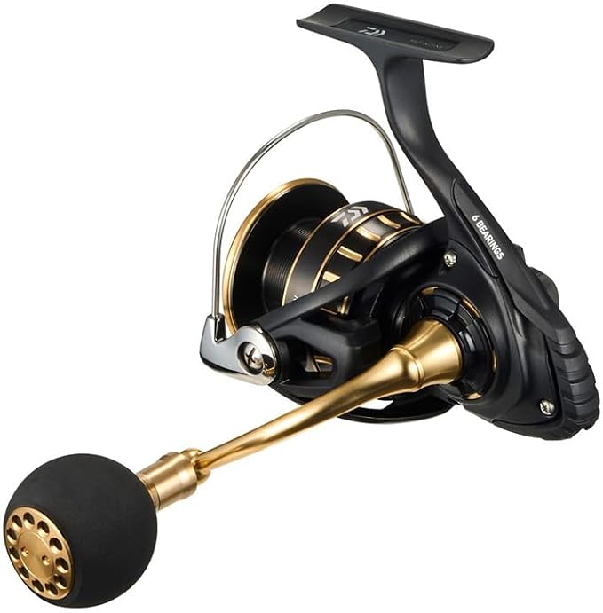 DAIWA Spinning Reel 23BG SW 4000-18000 Various (2023 Model)