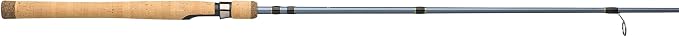 Pflueger President Spinning Rod