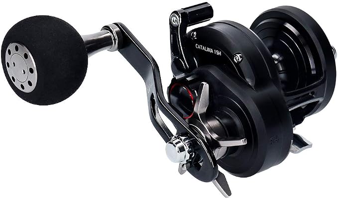 Daiwa Bait Reel 19 Catalina (2019 Model)