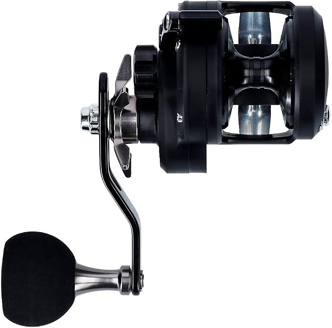 Daiwa Bait Reel 19 Catalina (2019 Model)