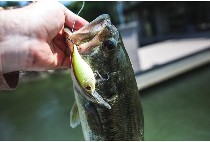 Berkley Money Badger Fishing Hard Bait