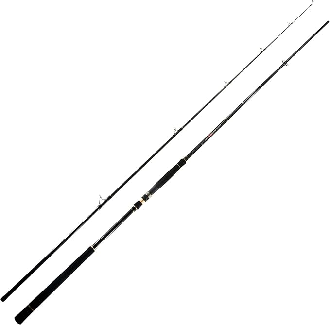 BERRYPRO Light Surf Spinning Rod Striper Fishing Rod Striped Bass surf Rod (9'/9'6''/10'6''/11'/12')
