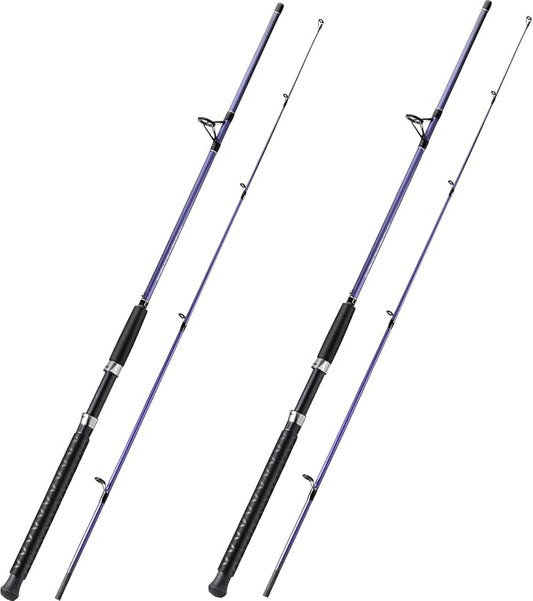 Sougayilang Spinning Rods, Strong Carbon&Glass Composite Fishing Pole with Stainless Steel Line Guides for Catfish- 7'0"
