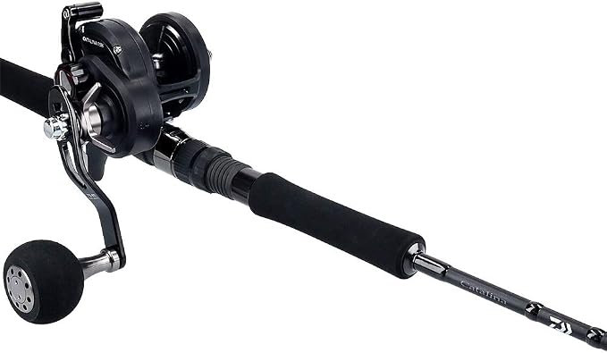 Daiwa Bait Reel 19 Catalina (2019 Model)