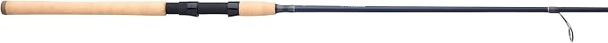 Pflueger President XT Spinning Rod