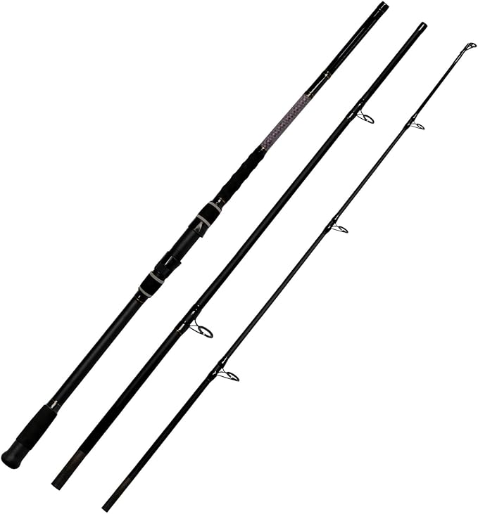 Fiblink Surf Fishing Rod 2 Piece/3 Piece Portable Travel Spinning Rod Saltwater Surf Rod (9'/10'/10'6"/12')