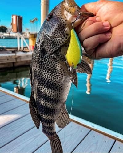Bandit Lures BDT