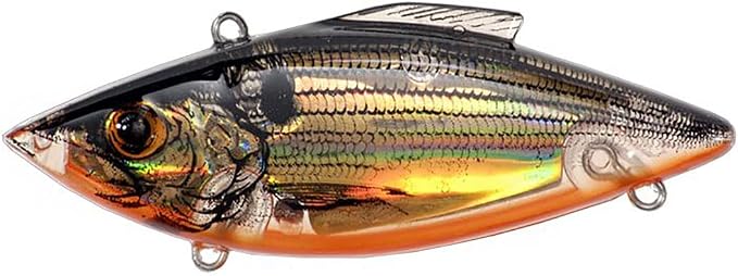 Bill Lewis Lures Lifelike Rat-L-Trap Magnum Trap 3/4 OZ Lipless Crankbait Fishing Wobble Freshwater Lure for Black Bass