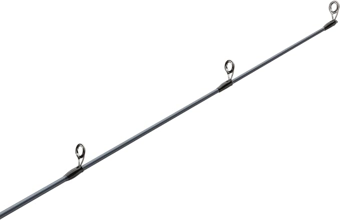Pflueger President XT Casting Rod