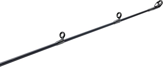 Pflueger President XT Casting Rod