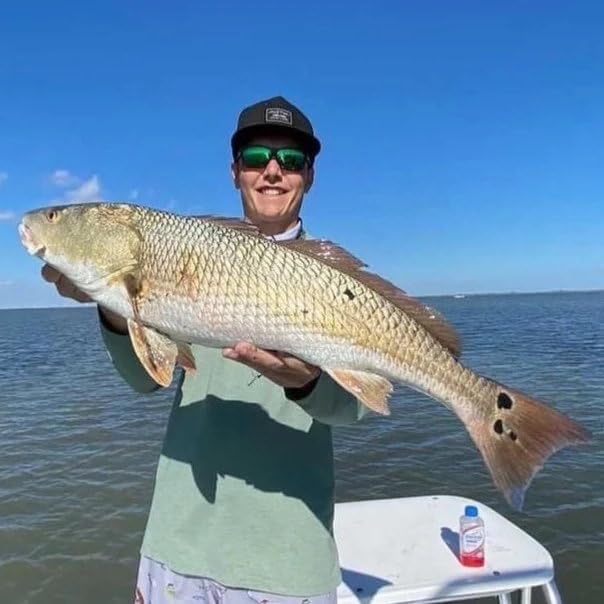 A.M. Fishing Curly Tail Jerkshad 4 Inch Soft Baits Garlic Infused,– 8 Pack – Saltwater & Freshwater Fishing Lures for Bass, Redfish, Snook, and Trout