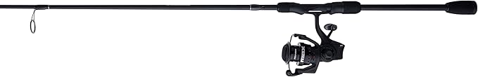 Abu Garcia Max SX Spinning Reel and Fishing Rod Combo