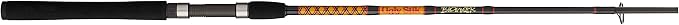 Ugly Stik Bigwater Spinning Fishing Rod