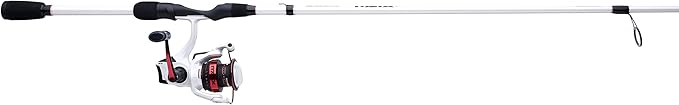 Abu Garcia Max Pro Spinning Reel and Fishing Rod Combo