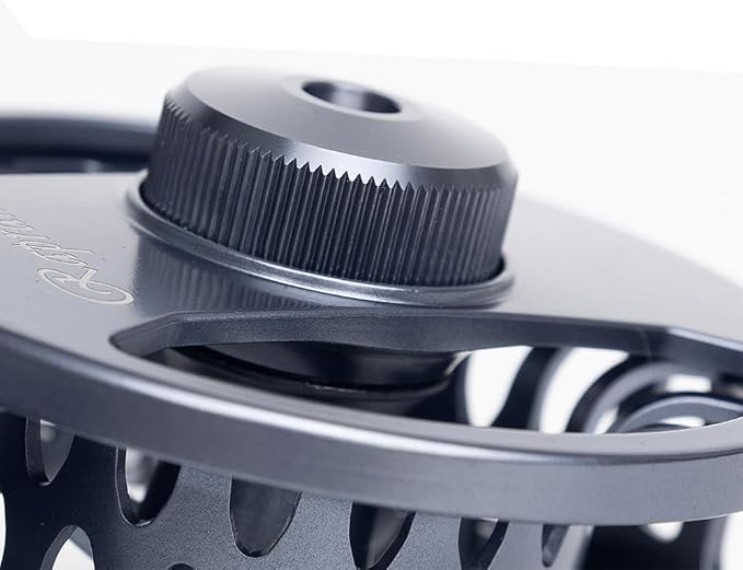 Raprance Fly Fishing Reel - CNC Aluminum Alloy, Ultra-Light, Instant Spool Change Side Button, for Freshwater/Saltwater (Matte Gunmetal Gray)