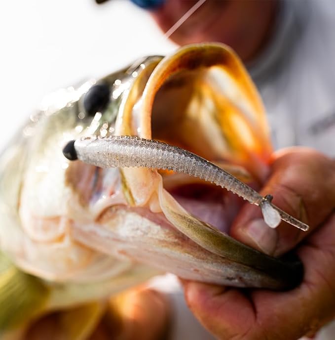 CrushCity Mooch Minnow Soft Plastic Minnow Bait, Natural Profile for Drop Shot, Jig Head & Multi-Species Fishing