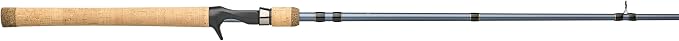 Pflueger President Casting Rod