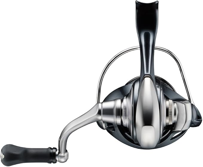 Daiwa 24 Celtate Spinning Reel, Various (2024 Model)