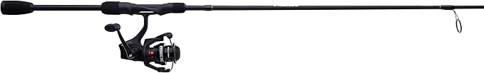 Abu Garcia Max SX Spinning Reel and Fishing Rod Combo