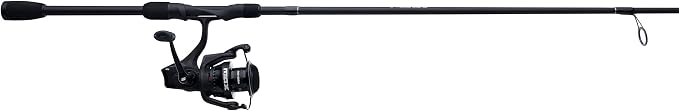 Abu Garcia Max SX Spinning Reel and Fishing Rod Combo