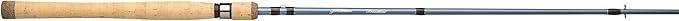 Pflueger President Spinning Rod