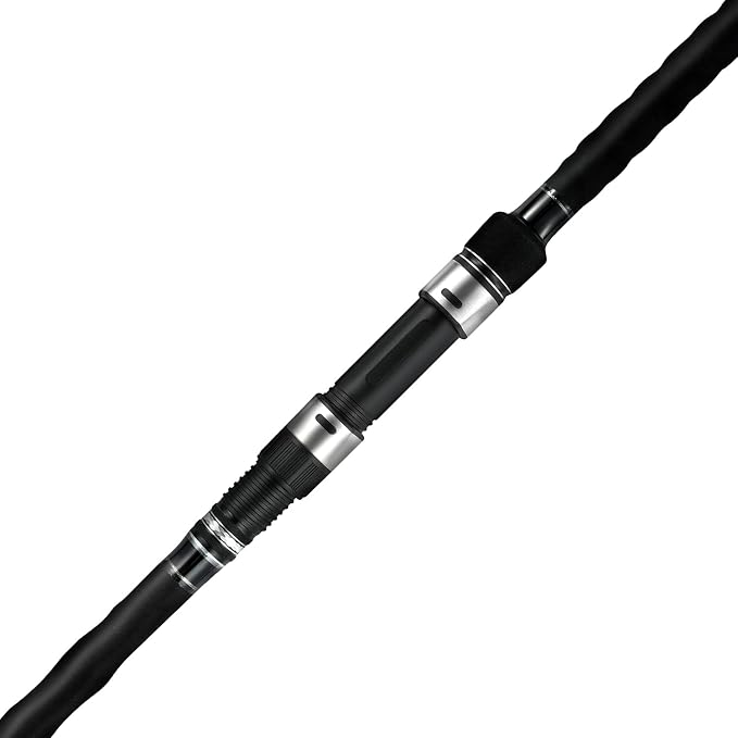 BERRYPRO Surf Spinning Rod Surf Casting Fishing Rod Carbon Fiber Travel Fishing Rod (9'/10'/10'6''/11'/12'/13'3'')