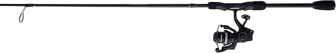 Abu Garcia Max SX Spinning Reel and Fishing Rod Combo