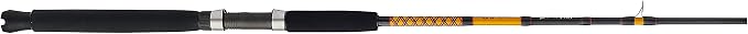 Ugly Stik Bigwater Casting Fishing Rod