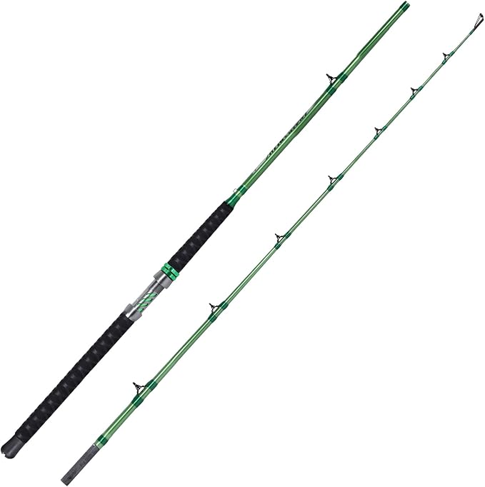 Fiblink Catfish Fishing Rod 1 Piece/2 Piece Catfishing Fishing Pole Portable Travel Heavy Cat Catfish Casting Rod (6'/6'6"/7'/8'/9')
