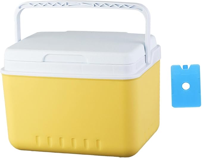 Generic Insulated Ice Cooler Camping Case Drink Bucket Portable Lightweight Organizer Ice Chest Box for Fishing BBQ Travel Tailgating