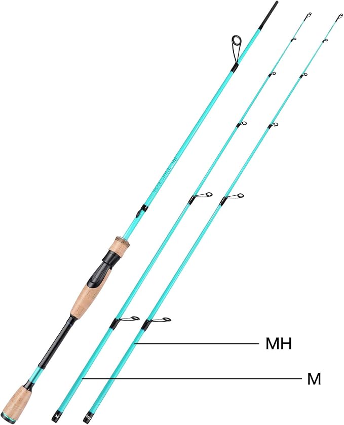 Sougayilang Fishing Rod, 2Pc Casting Rod Spinning Rod for Freshwater Tournament Quality Fishing Pole with 2 Tips for Bass