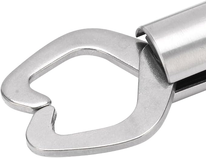 Lip Gripper, Stainless Steel Trigger Lock Fish Grip Clamp with T-Type Handle, Fishing Pliers Grab Tool for Freshwater, Saltwater and Ice Fishing Use