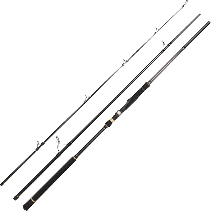 BERRYPRO Light Surf Spinning Rod Striper Fishing Rod Striped Bass surf Rod (9'/9'6''/10'6''/11'/12')
