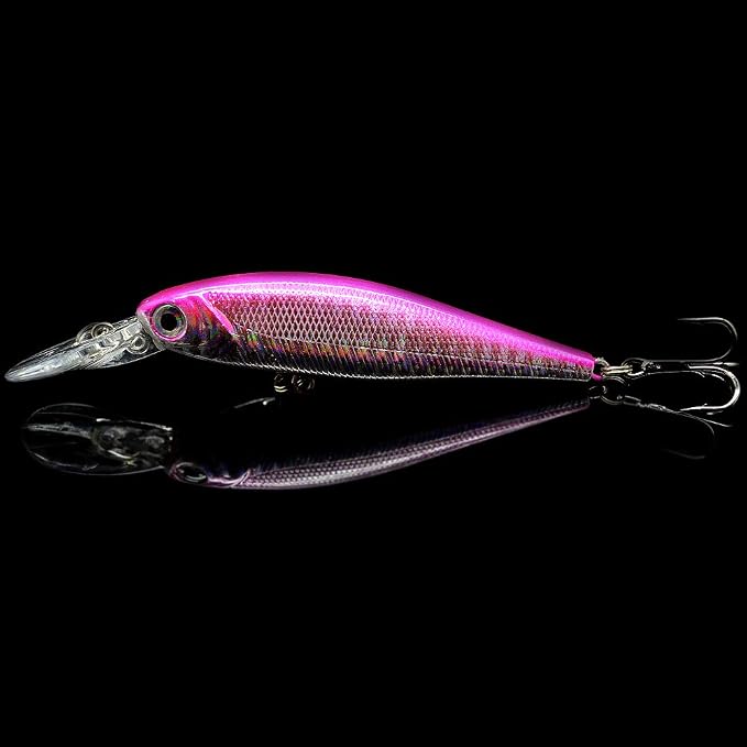 10 Pack Fishing Lures Hard Baits, Minnow Crankbait & Swimbait Lure Kit for Freshwater & Saltwater, Bass, Trout, Walleye, Redfish