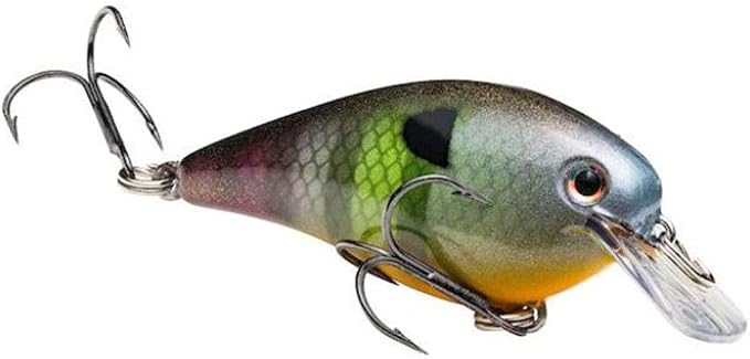 Strike King Square Bill 1.0 Crankbait