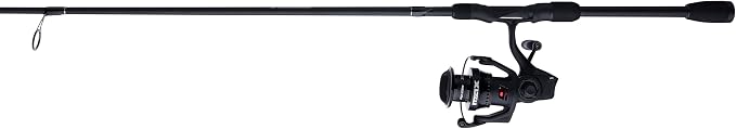 Abu Garcia Max SX Spinning Reel and Fishing Rod Combo