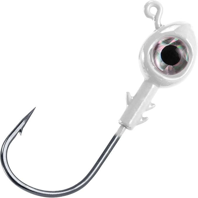 Dr.Fish 10 Pack Fishing Eyes Jigs 3D Eyes Trout Heads Bass Hook Saltwater Swimbait Jig Heads Freshwater Walleye Redfish Striper