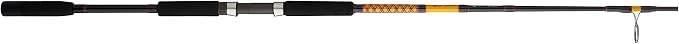 Ugly Stik Bigwater Spinning Fishing Rod