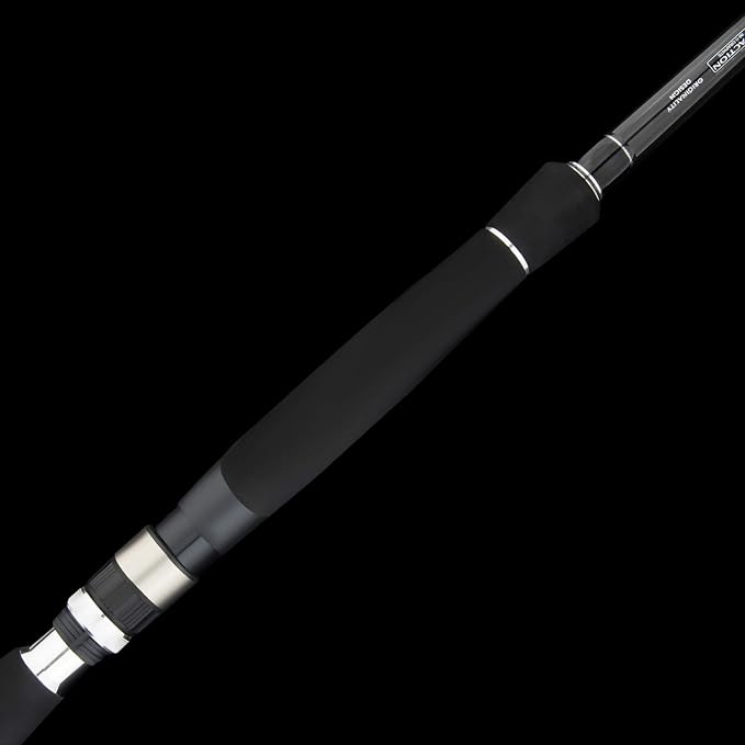 BERRYPRO Light Surf Spinning Rod Striper Fishing Rod Striped Bass surf Rod (9'/9'6''/10'6''/11'/12')