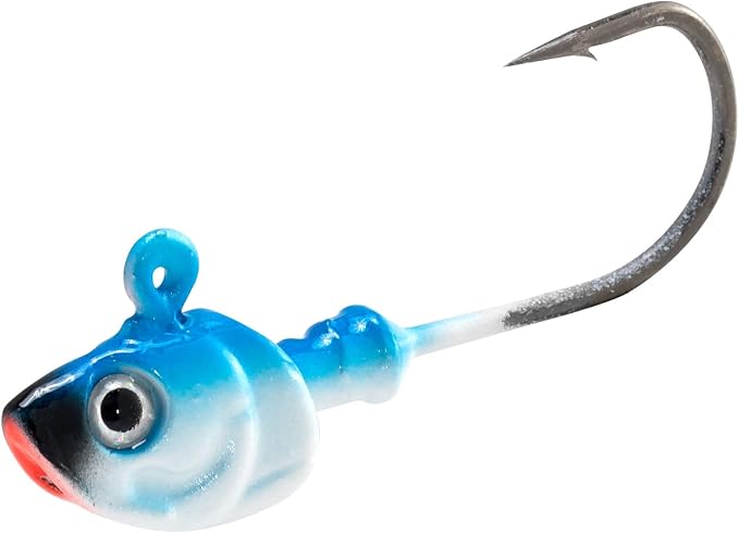 Dr.Fish 10 Pack Swimbait Jig Heads, Saltwater Fishing Jig Heads 3D Eyes High Carbon Steel Hooks Surf Fishing Lures Flounder Striper Halibut Pompano Bass