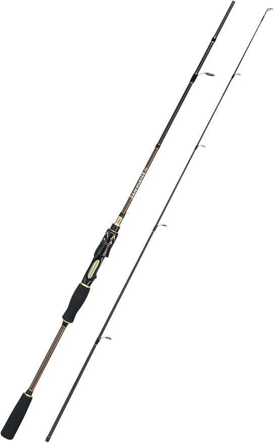 Jenseits Carbon Fiber Fishing Rod Series (6-12 Ft), Spinning & Casting Rods with Stainless Steel Ceramic Guides, Fast Action Fishing Pole for Bass, Trout, Walleye & Surf Fishing