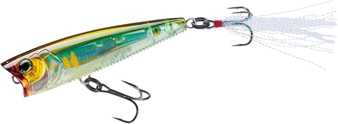 Yo-Zuri 3DB Popper, Floating, 3 Inch, 75mm, Gizzard Shad