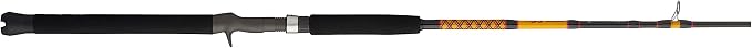 Ugly Stik Bigwater Casting Fishing Rod