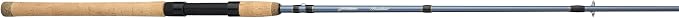 Pflueger President Spinning Rod