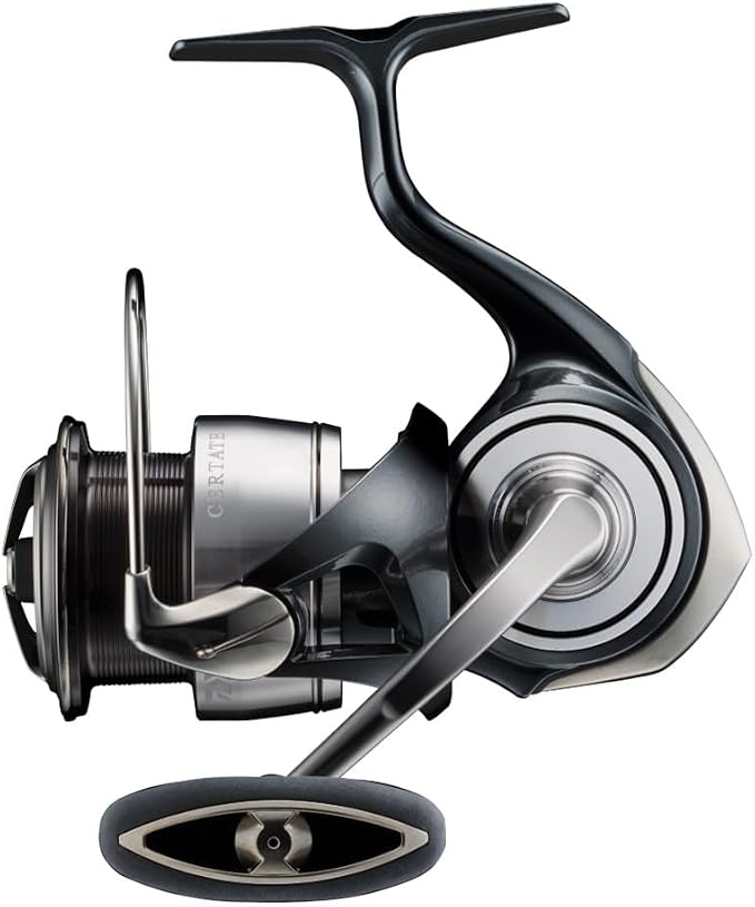Daiwa 24 Celtate Spinning Reel, Various (2024 Model)