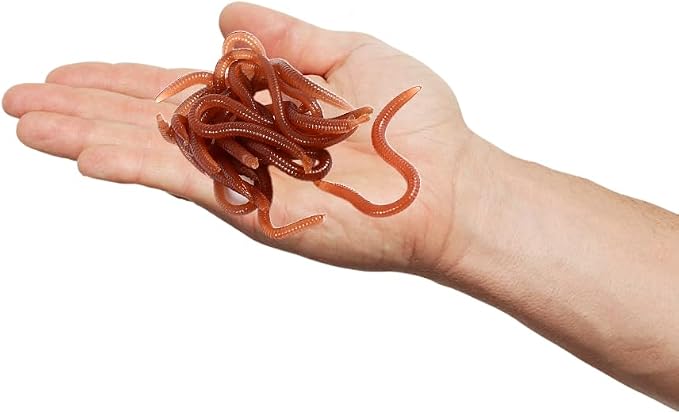 Joyzan Fishing Bait, Soft Lure Trout Worm Fake PVC Earthworm Bass Artificial Lures Kit Faux Trick Toy Drop Shot Bloodworm Grub Stickbaits Realistic Tackle Lifelike Shaped Stretchy Fresh Water 18PCS